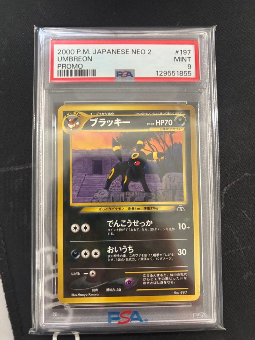 ブラッキー_プレミアムファイル2 PROMO 第2世代（★neo・★VS・★w…