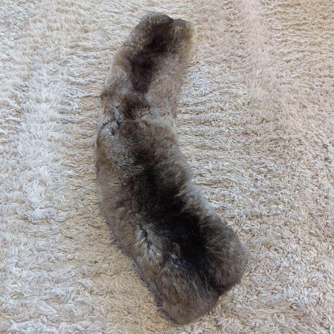 フォクシー　付け襟　チンチラ