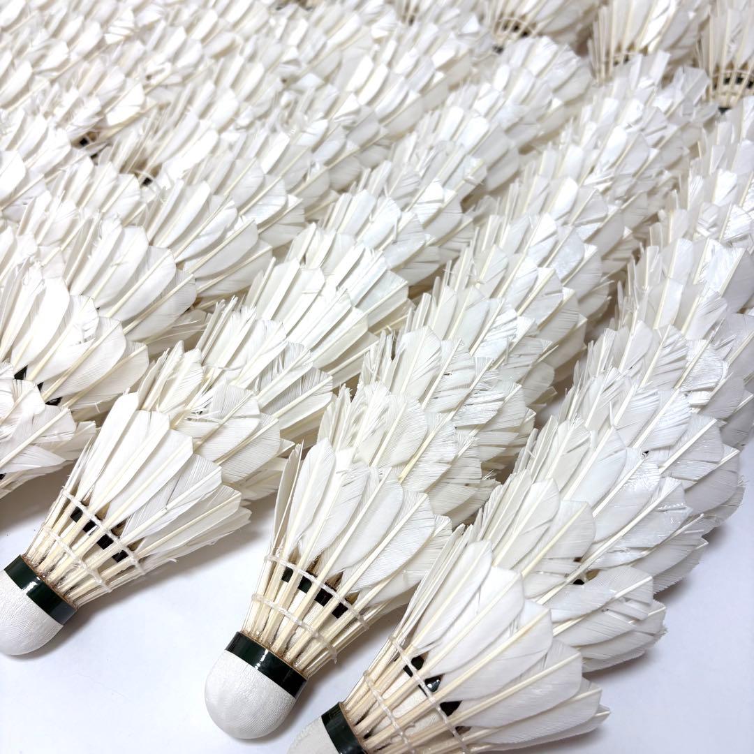 YONEX OFFICIAL F-70 4番　238球