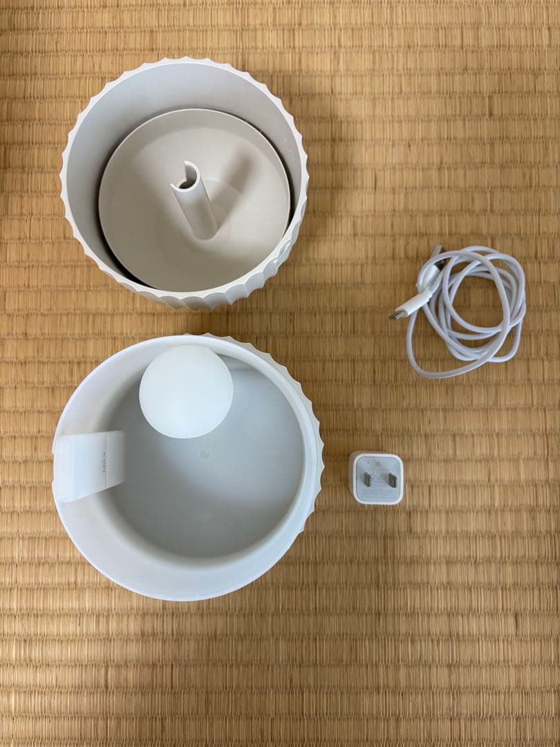 ヤングリビング　カクタス　アロマディフューザー