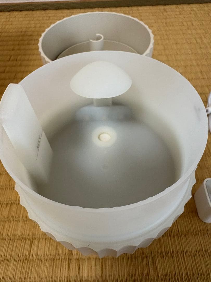 ヤングリビング　カクタス　アロマディフューザー