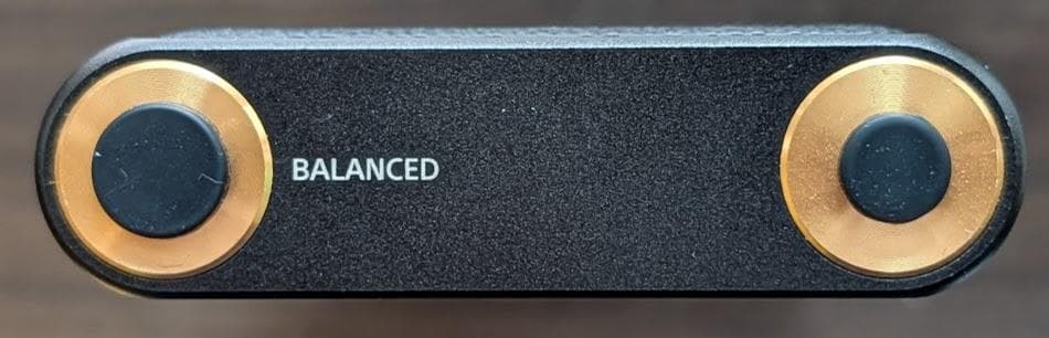 SONY NW-WM1A 128GB 　武蔵野レーベルケース付き