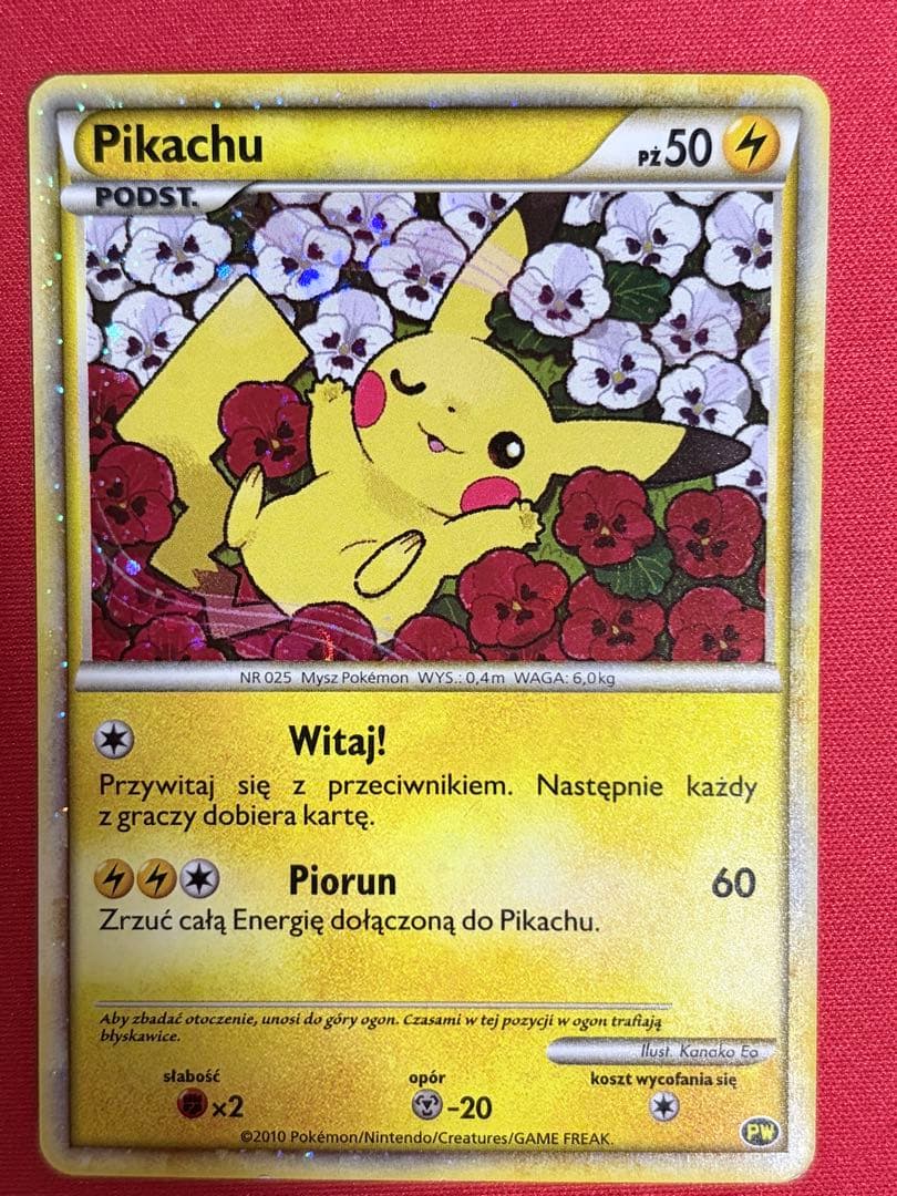 ポケモンカードピカチュウワールド ポーランド PIKACHU WORLD プロモ