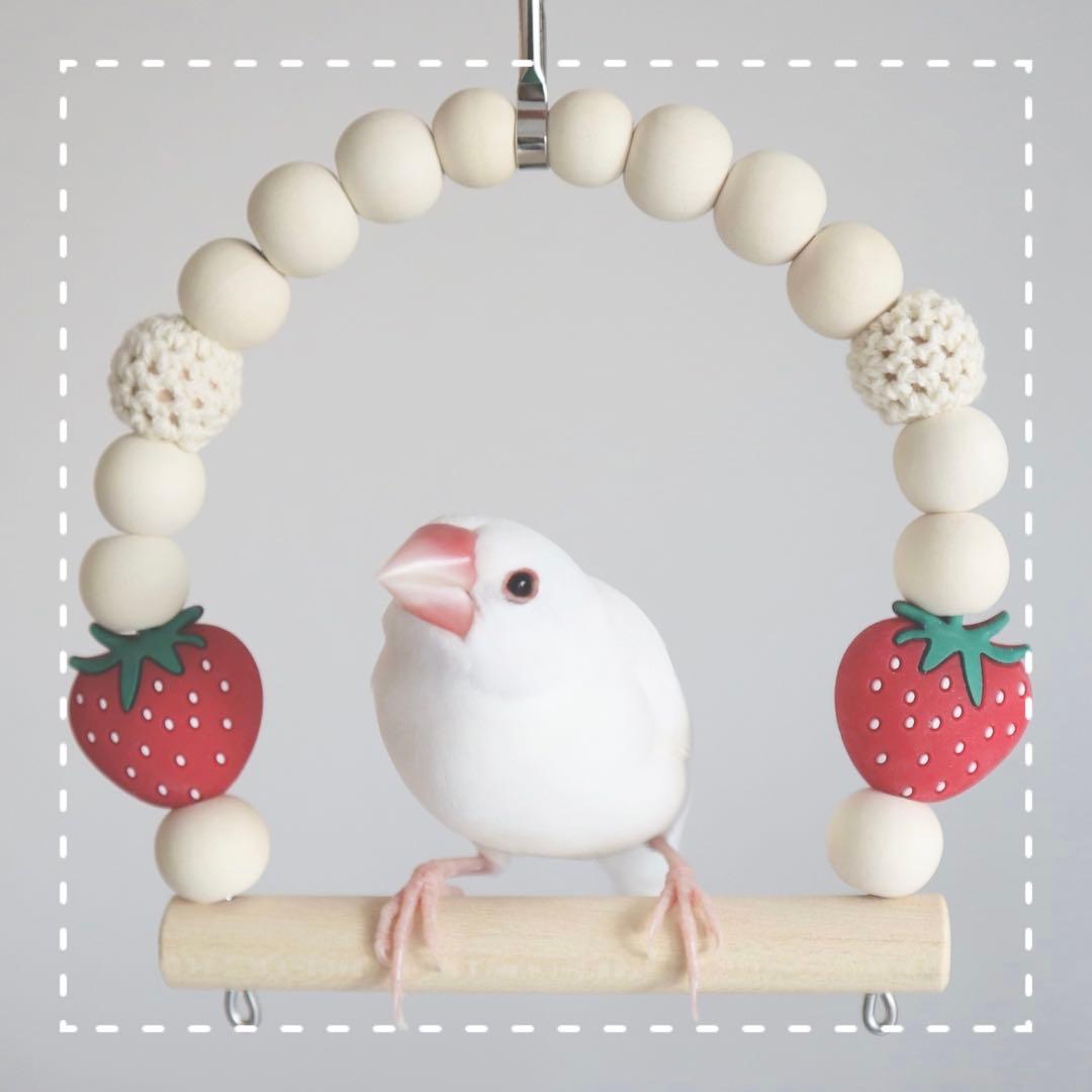 【ゆり】ことりのおおきなあそびば