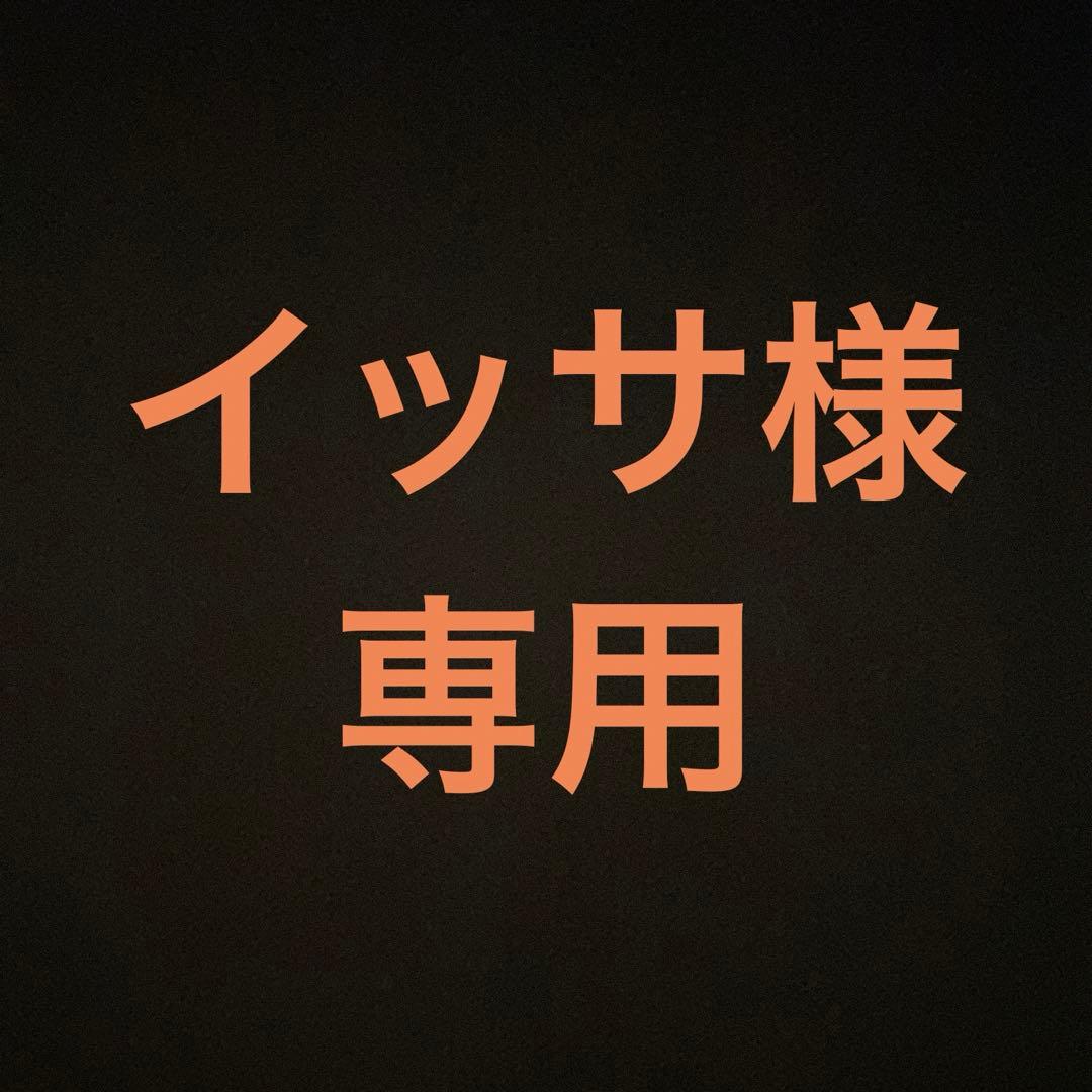 イッサ　iPad Air (M3) 11インチ WIFI スペースグレイ