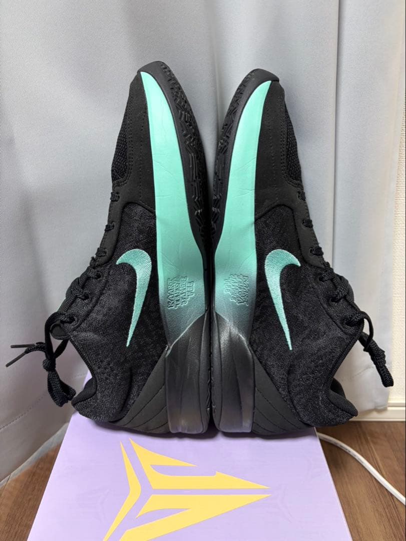 NIKE JA2 EP 30センチ