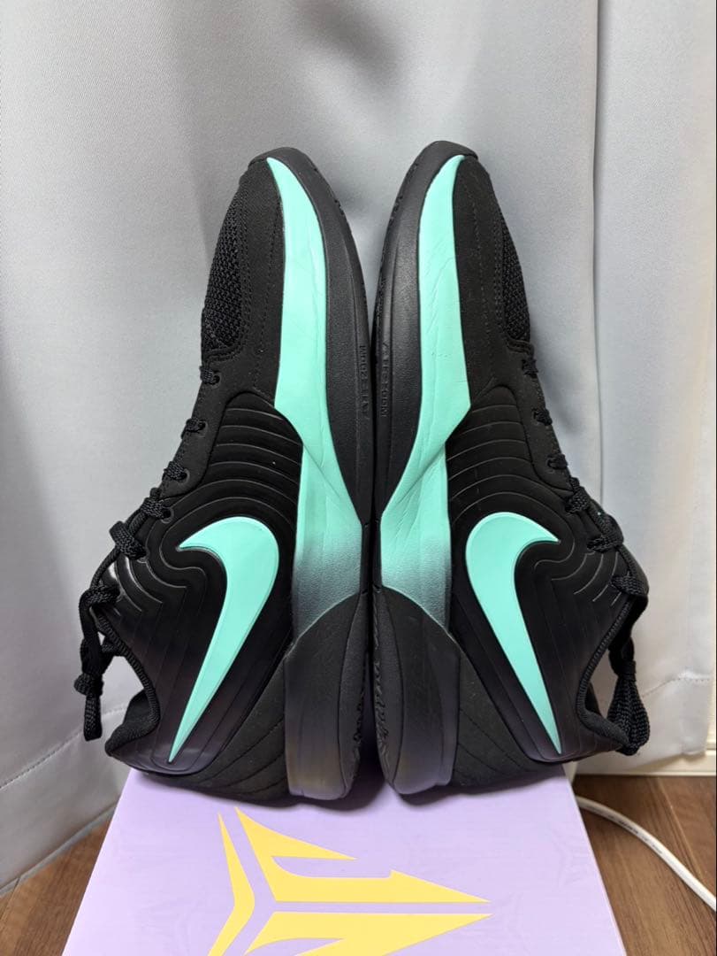 NIKE JA2 EP 30センチ