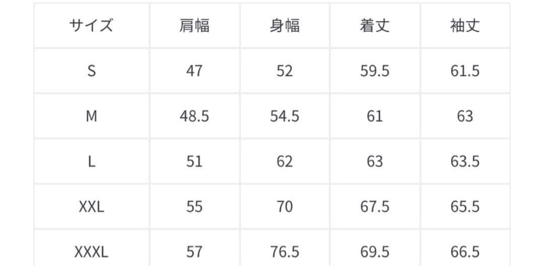 Levi's 3rdタイプ　ジャーナルスタンダード別注　新品 Mサイズ
