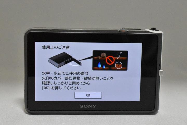 【バッテリーx2付】　SONY Cyber-shot DSC-TX30 シルバー