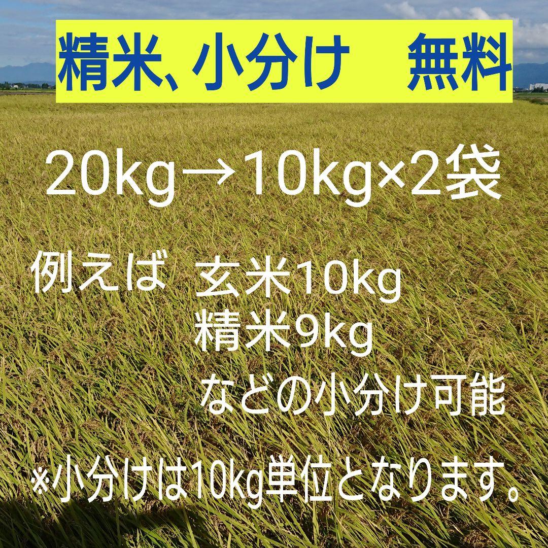 農家直送！新潟コシヒカリ玄米20kg