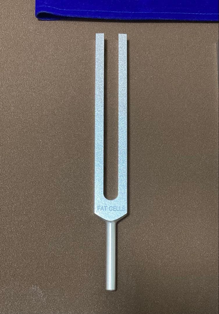 音叉　ヒーリング　セルリダクション　増川いづみ