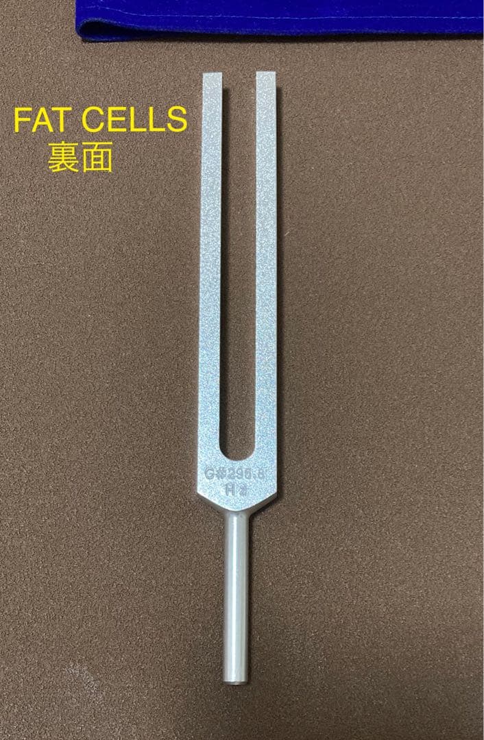 音叉　ヒーリング　セルリダクション　増川いづみ