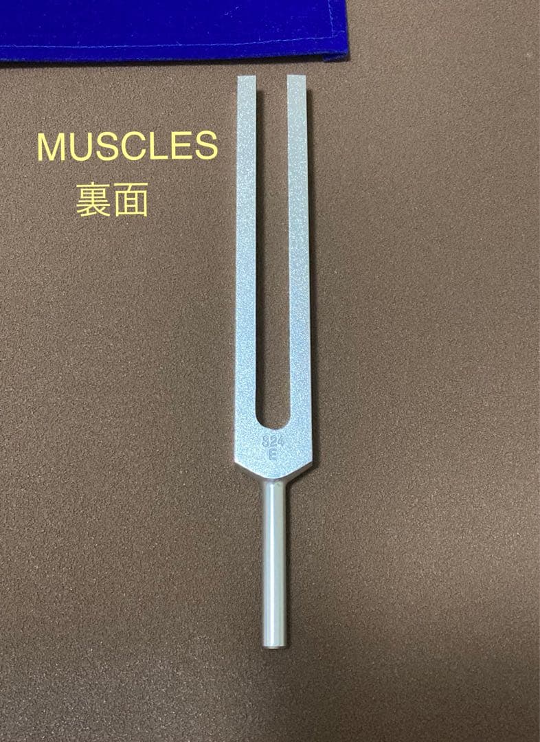 音叉　ヒーリング　セルリダクション　増川いづみ