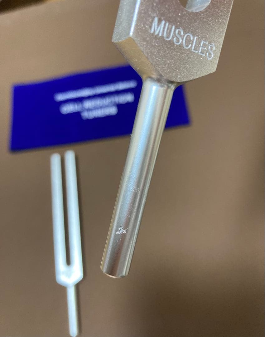 音叉　ヒーリング　セルリダクション　増川いづみ