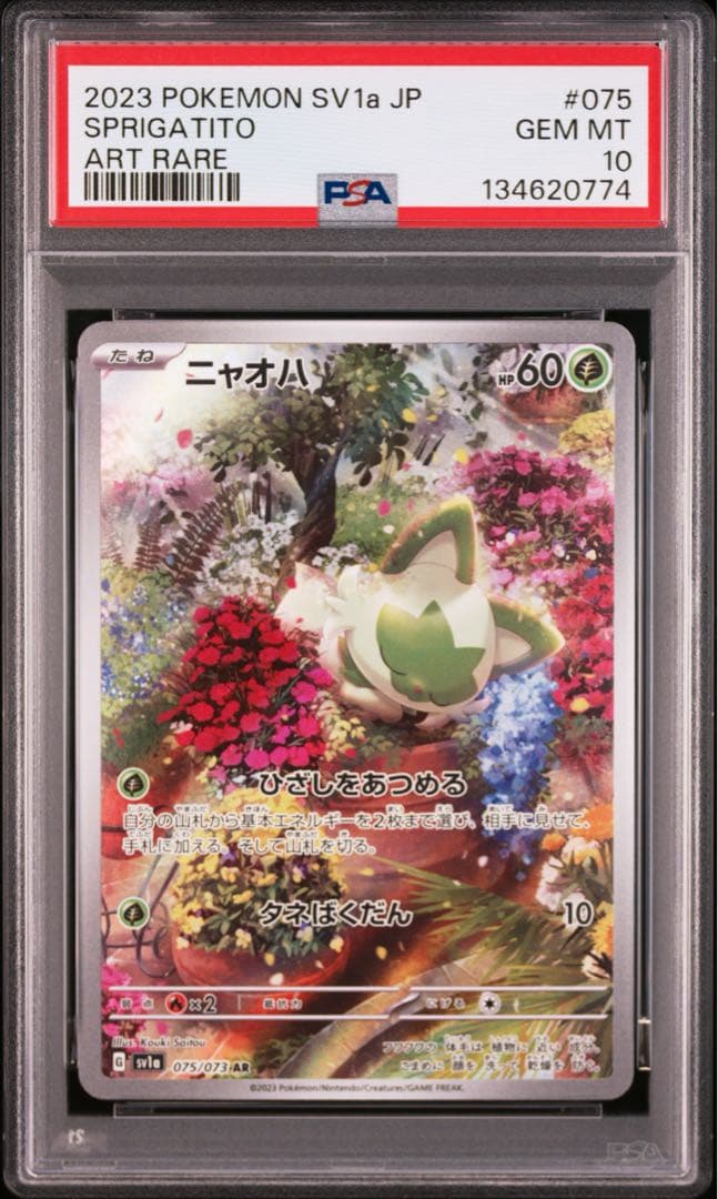 【PSA10連番】ポケモンカード ニャオハ、ニャローテ、マスカーニャ 進化セット