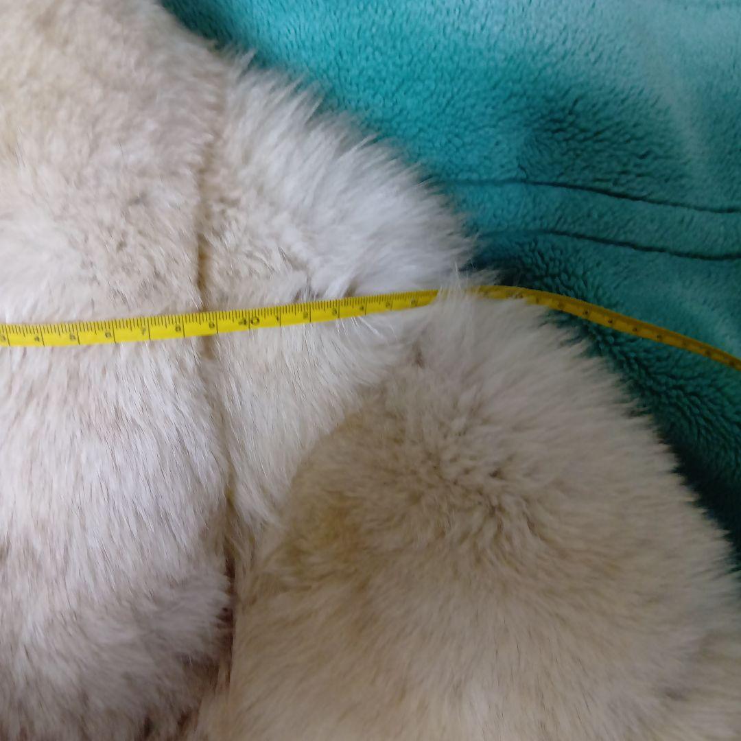 ブルーフォックス　ショートコート