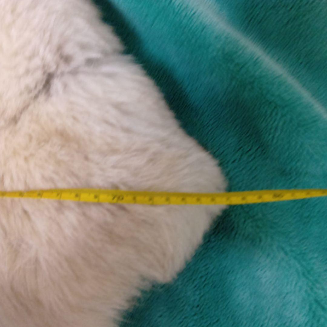 ブルーフォックス　ショートコート