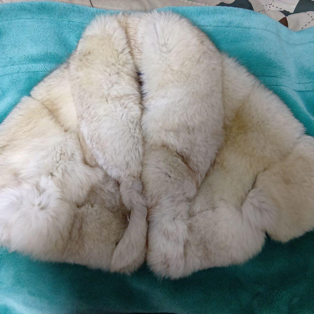 ブルーフォックス　ショートコート