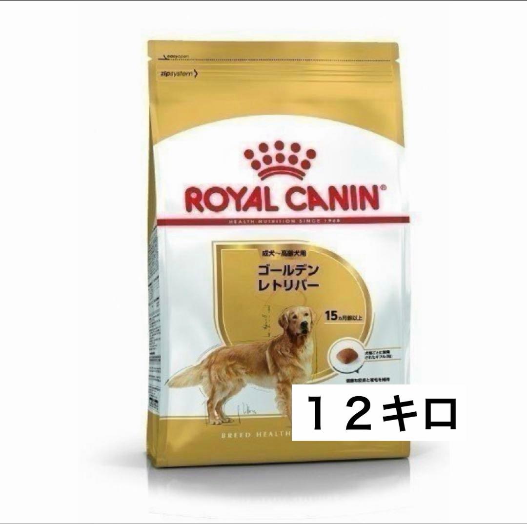 ロイヤルカナン ゴールデンレトリバー成犬用１２キロ
