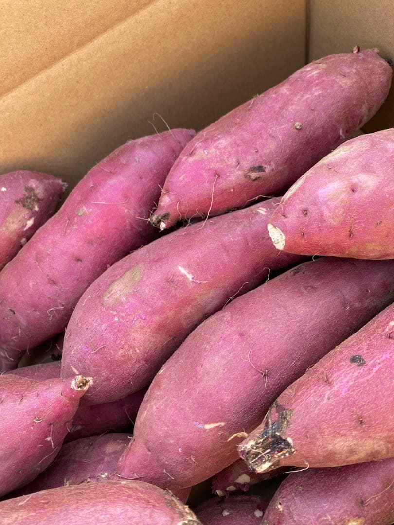 茨城県産紅はるか50キロ　Rika☆品