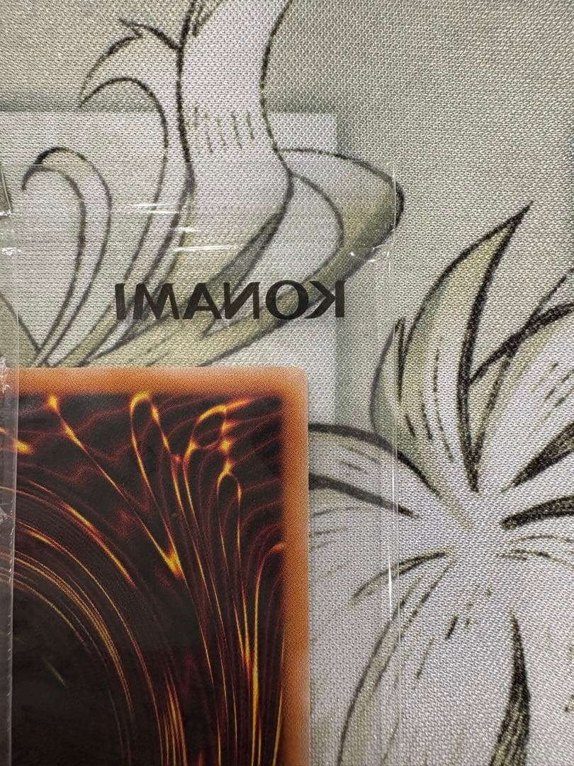 異次元の女戦士