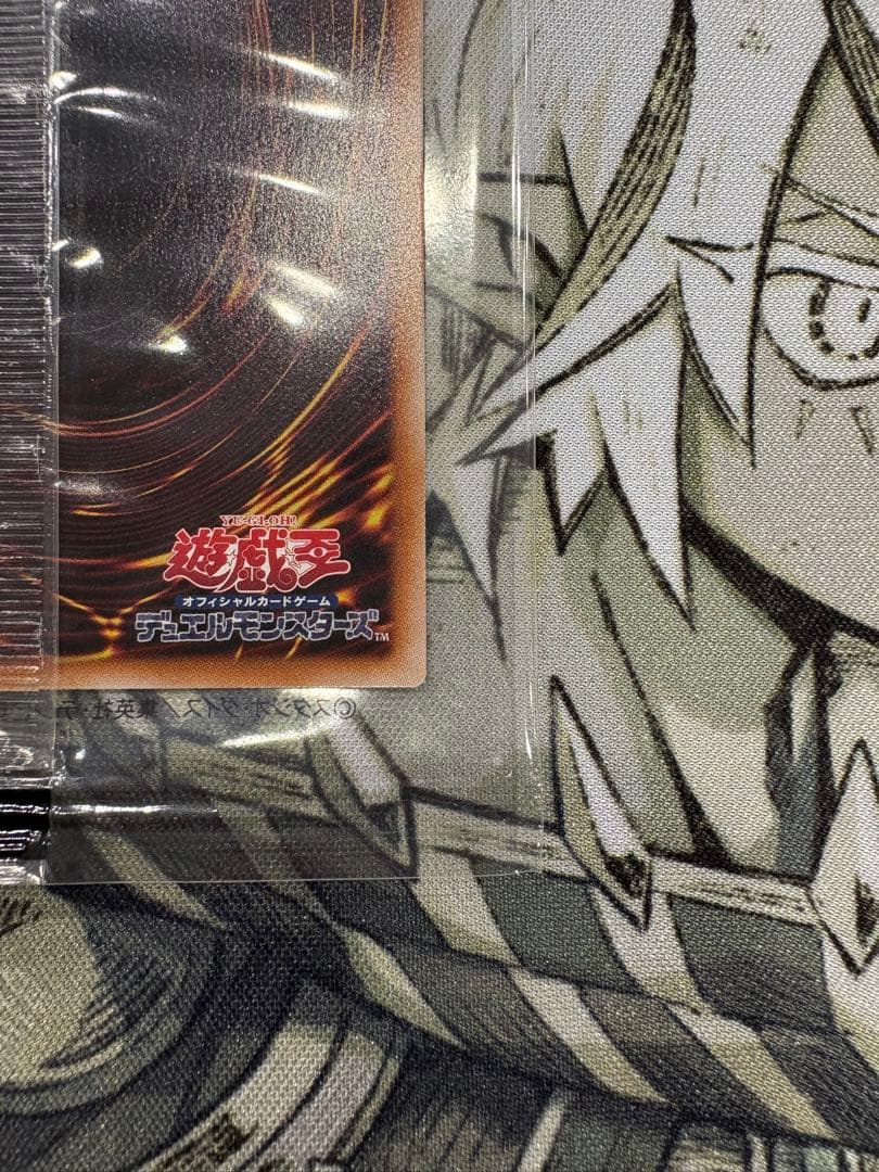 異次元の女戦士