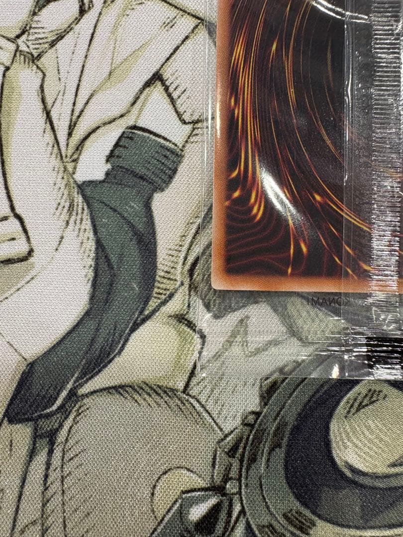 異次元の女戦士