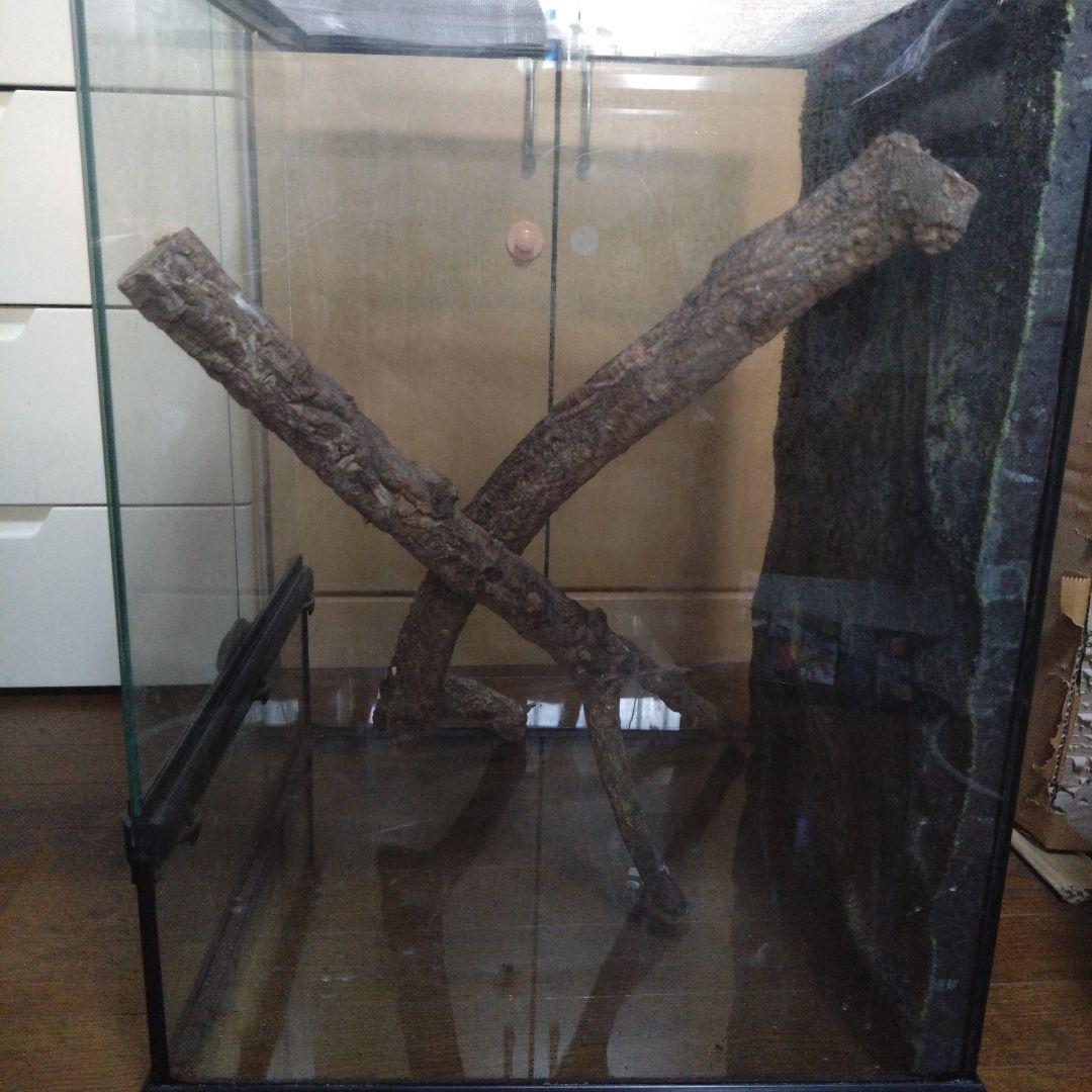 中型ガラス温室・ショーケース