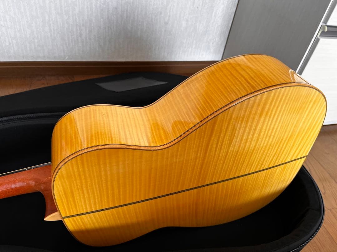 【最終価格】ASTURIAS EC.current maple