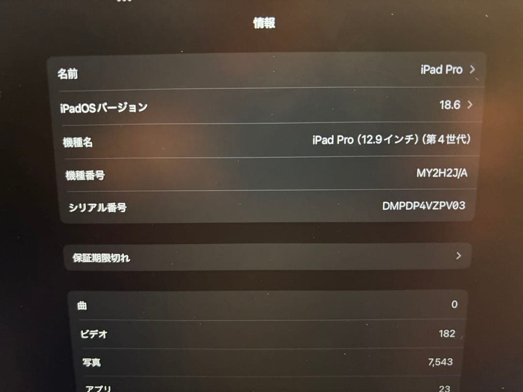 美品 iPad Pro 12.9インチ 第4世代 128GB スペースグレー