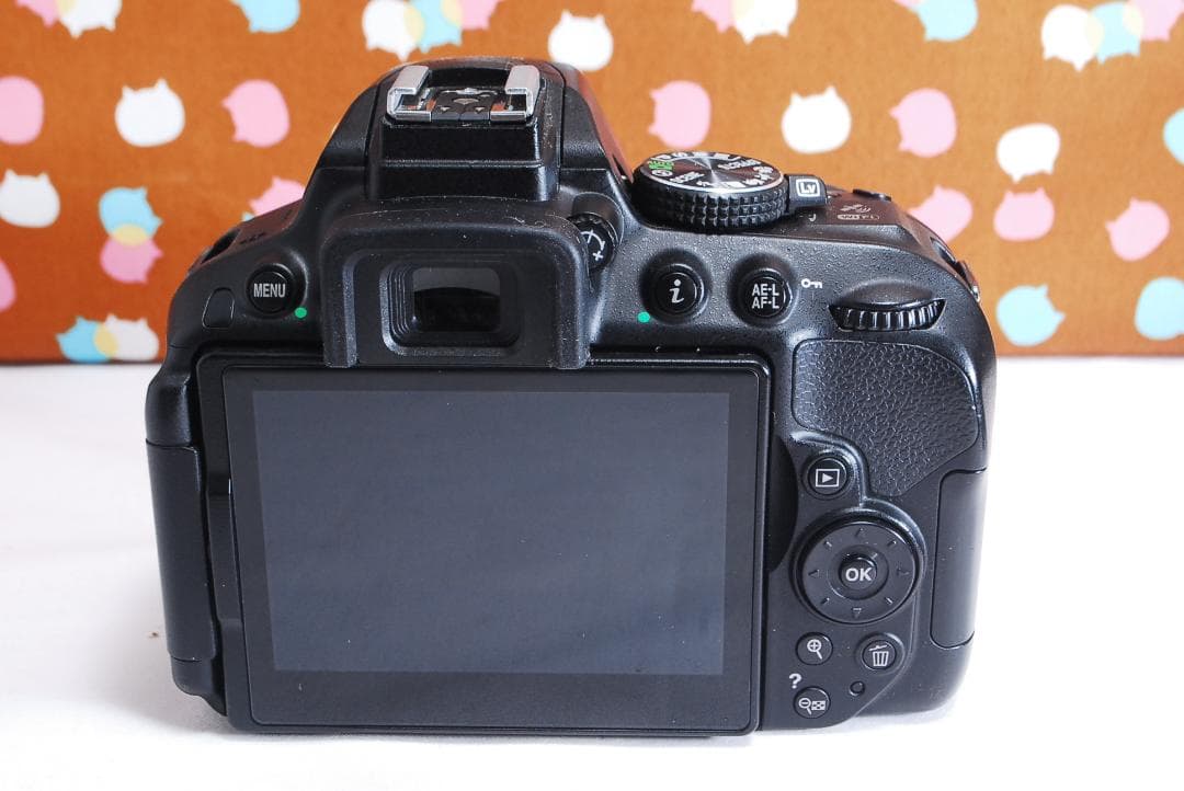 ✨美品✨Wi-Fi搭載機種✨Nikon D5300 ダブルレンズセット