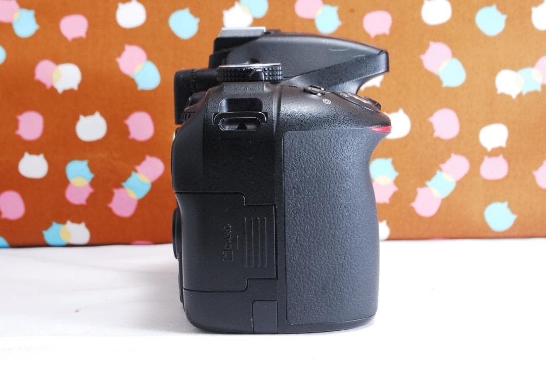 ✨美品✨Wi-Fi搭載機種✨Nikon D5300 ダブルレンズセット