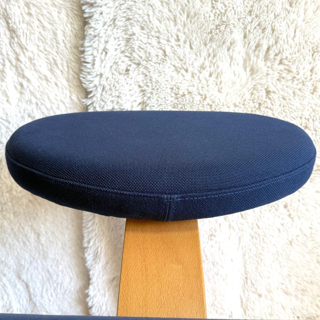 バランスチェア イージー balans Easy ネイビー　サカモトハウス　リボ