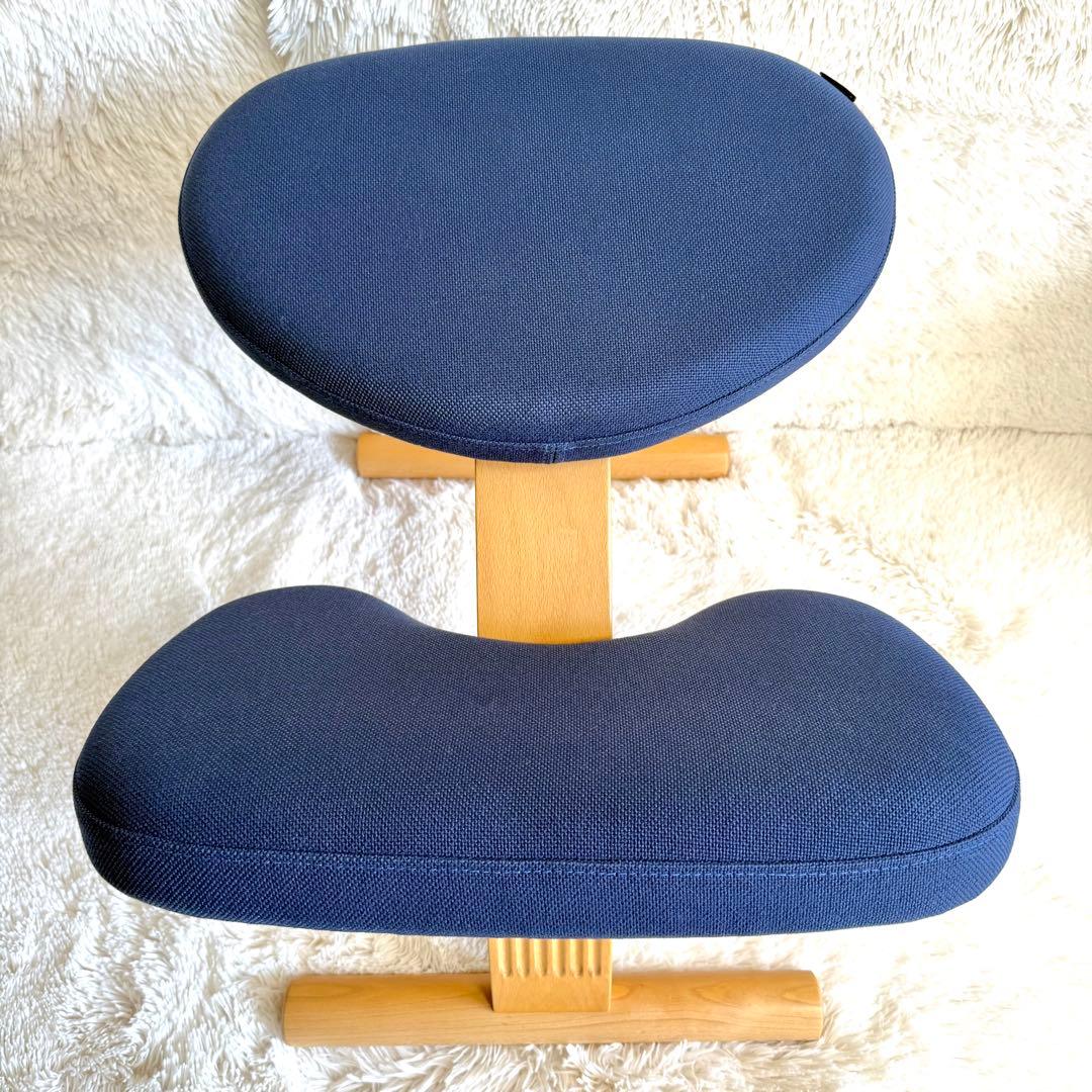 バランスチェア イージー balans Easy ネイビー　サカモトハウス　リボ