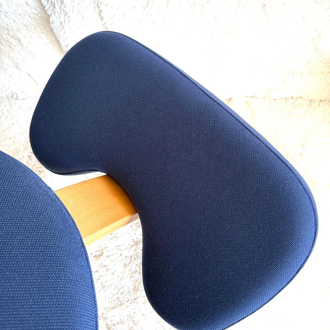 バランスチェア イージー balans Easy ネイビー　サカモトハウス　リボ