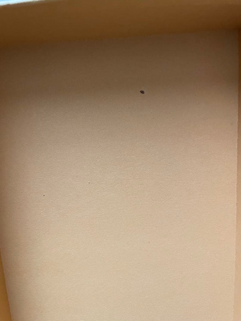 たぶちゃん　TOD'S ブルーレザー ローファー