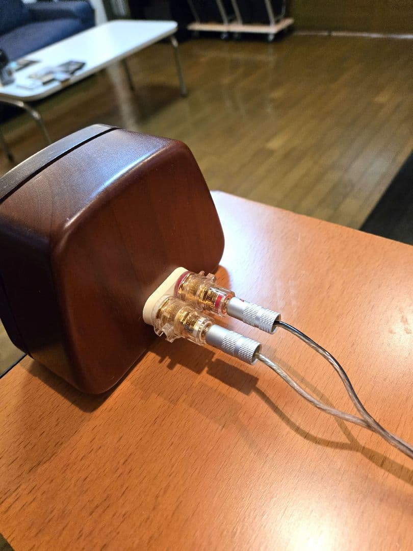 CORAL HD-10スーパーツイ－ターペア　美品