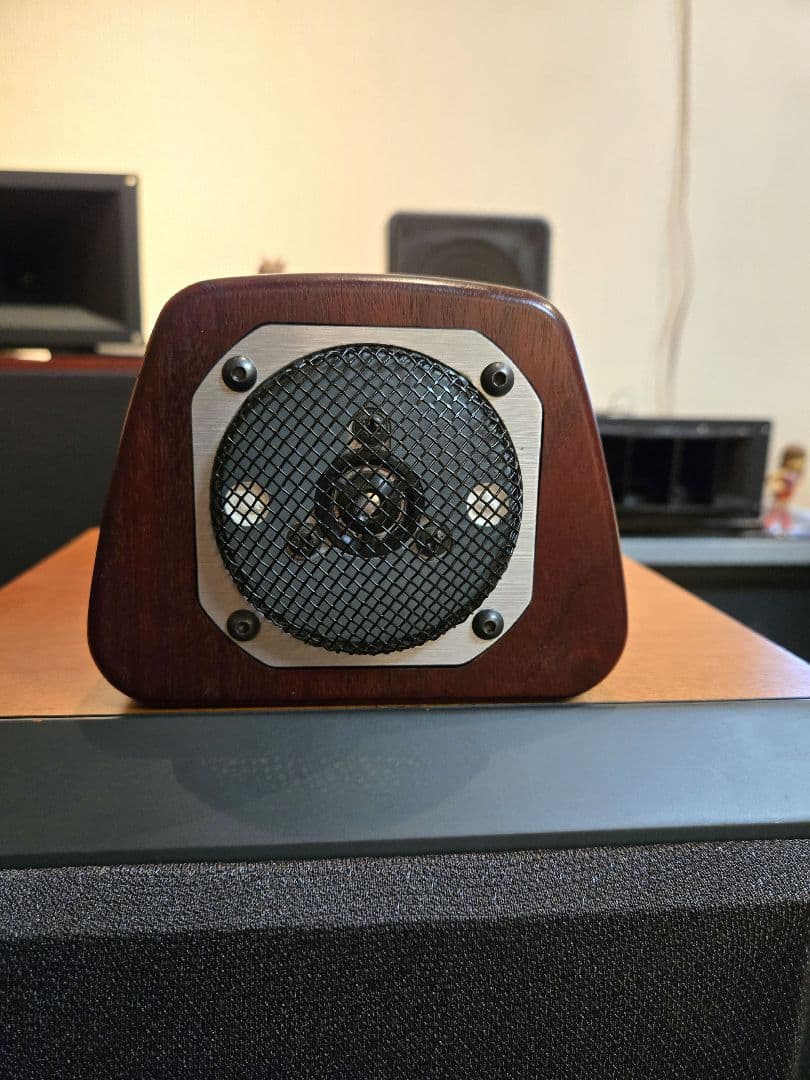 CORAL HD-10スーパーツイ－ターペア　美品