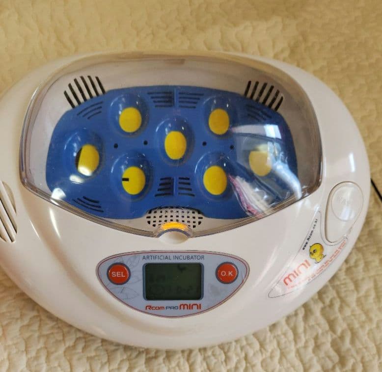 リトルママ　Rcom Pro Mini PX-03　人工孵化器　孵卵器