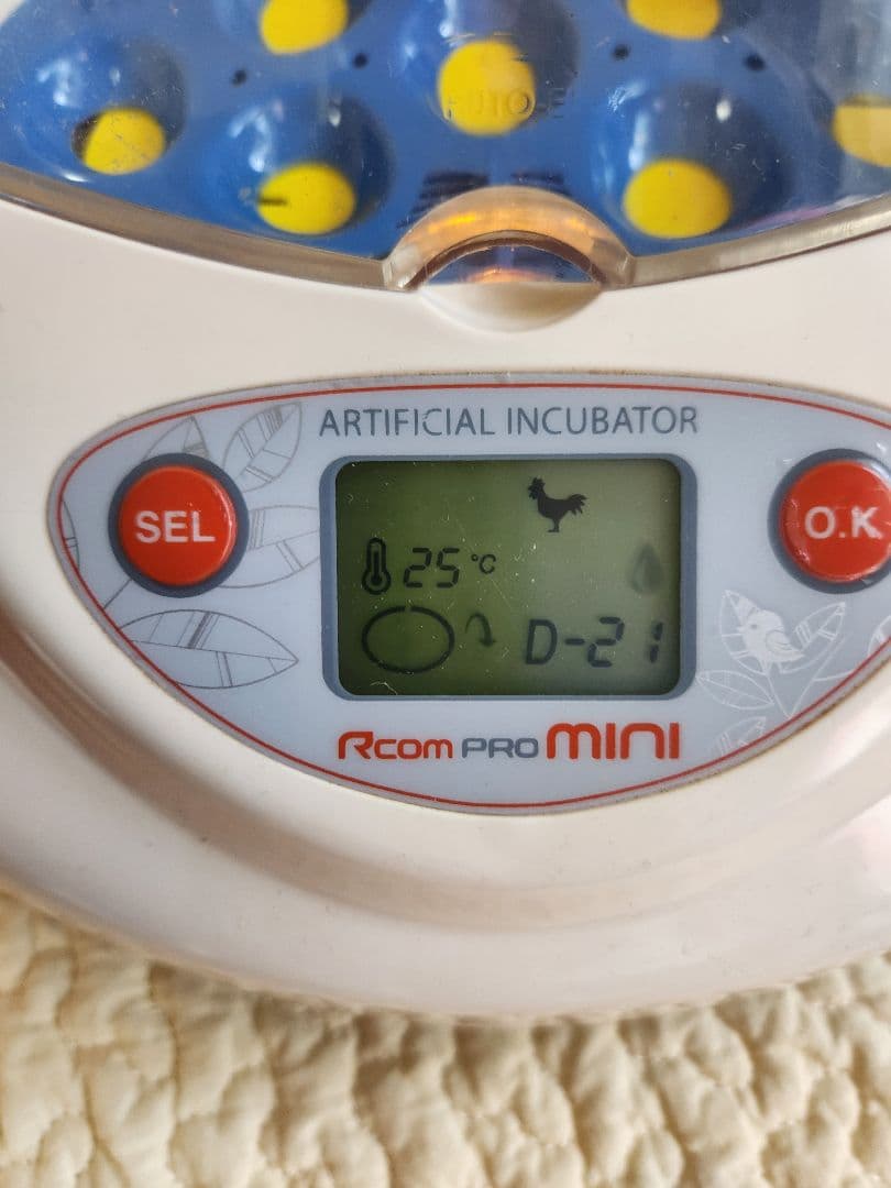 リトルママ　Rcom Pro Mini PX-03　人工孵化器　孵卵器