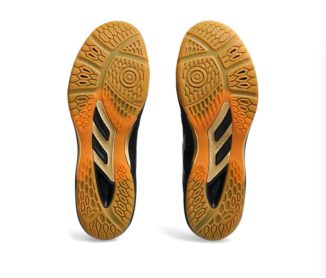 【一度だけ使用】29.5cm ROTE JAPAN LYTE FF 3 新色