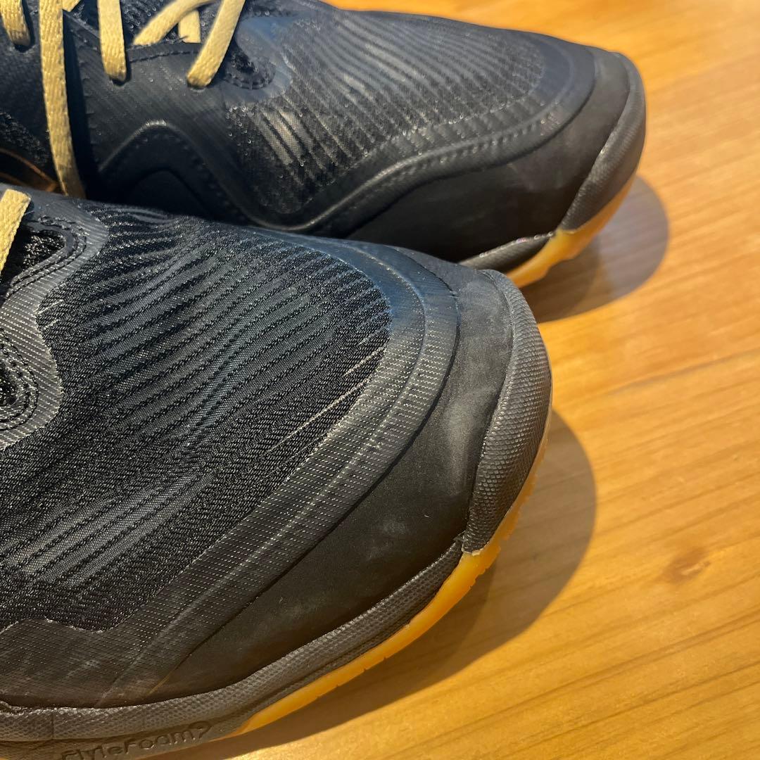 【一度だけ使用】29.5cm ROTE JAPAN LYTE FF 3 新色