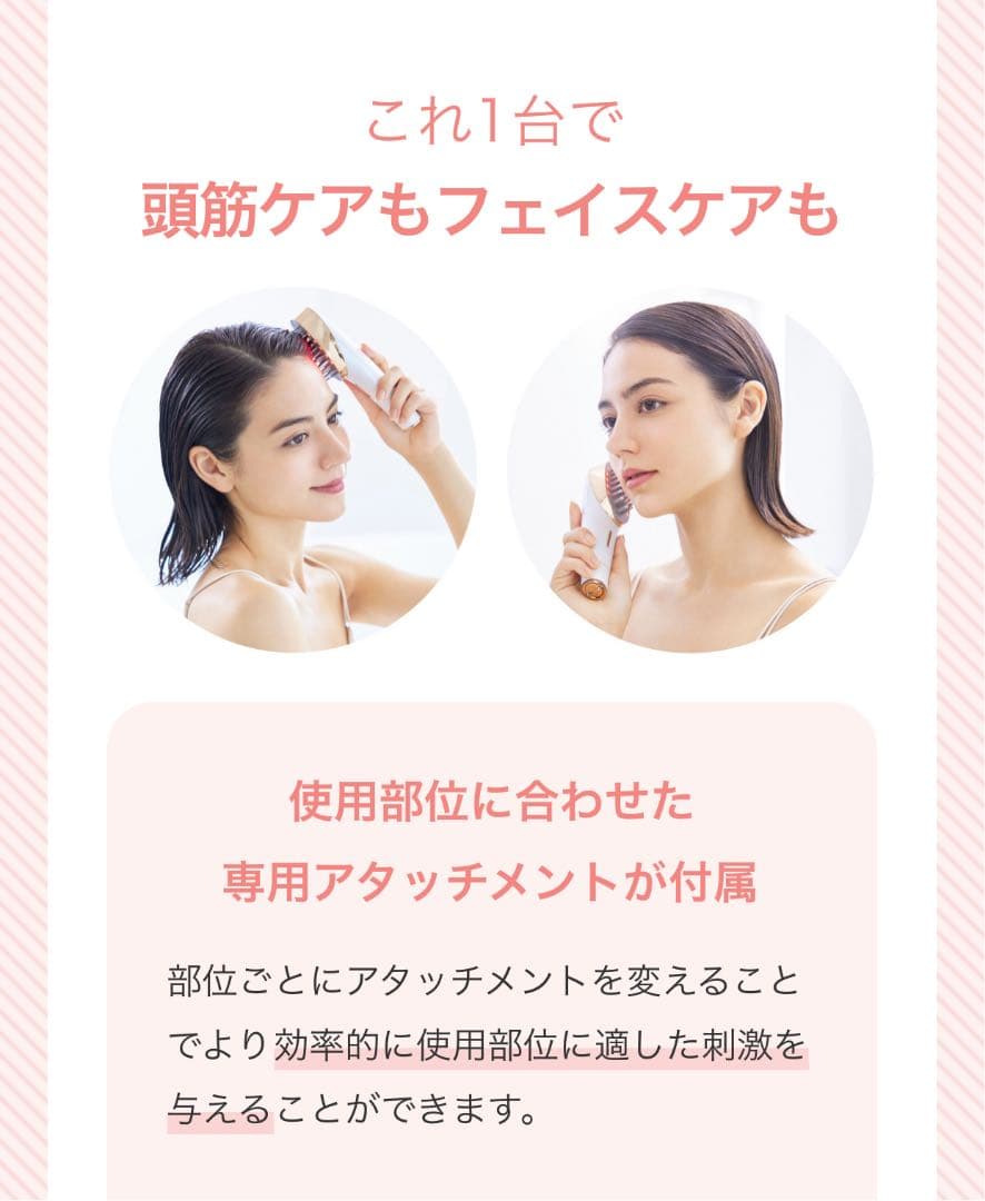 ミーゼ スカルプリフト　ポーチセット