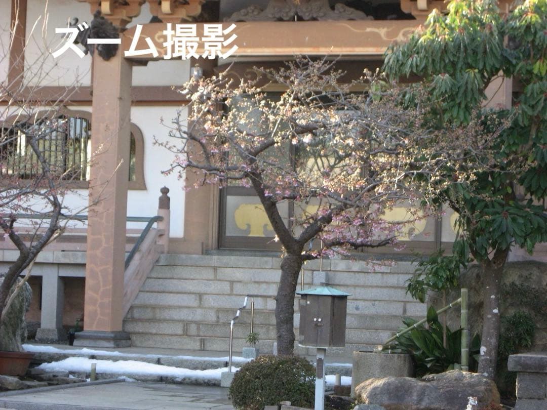 実写美⭕️良品【動作確認済】Canon IXY DIGITAL 800IS