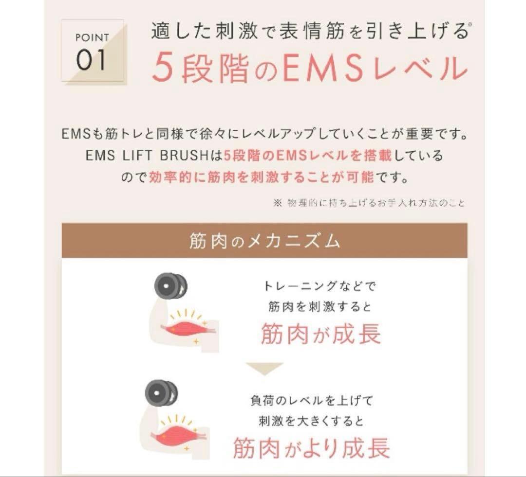 【送料込み】SALONIA EMSリフトブラシ