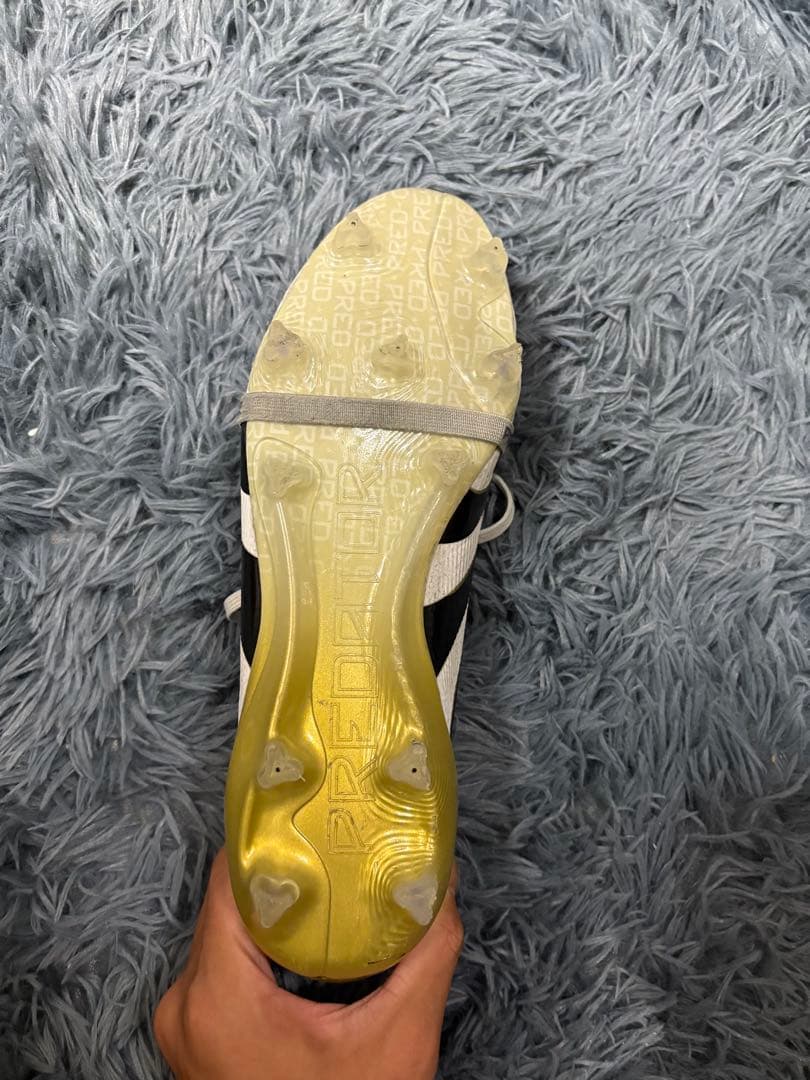 プレデターエリート