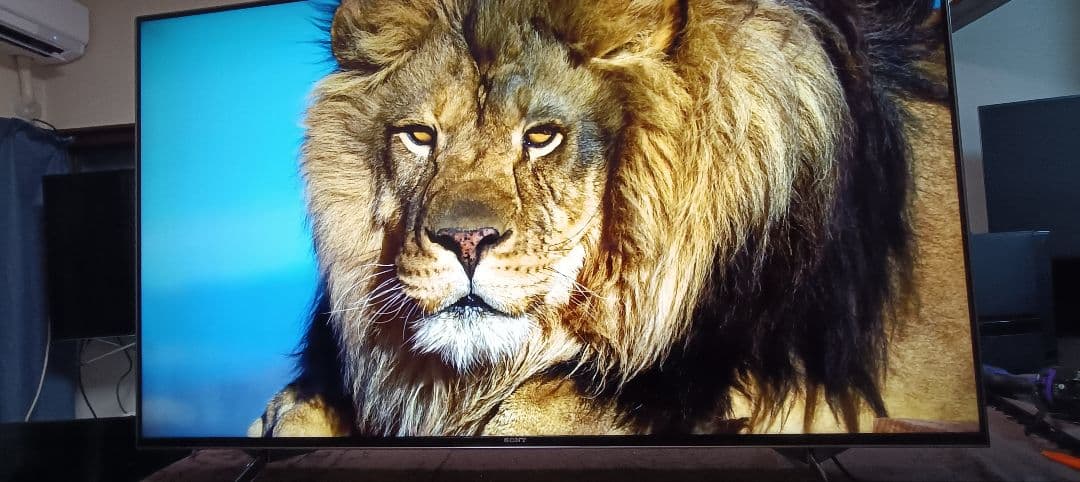 SONY BRAVIA KJ-55X9500H（2020年製）