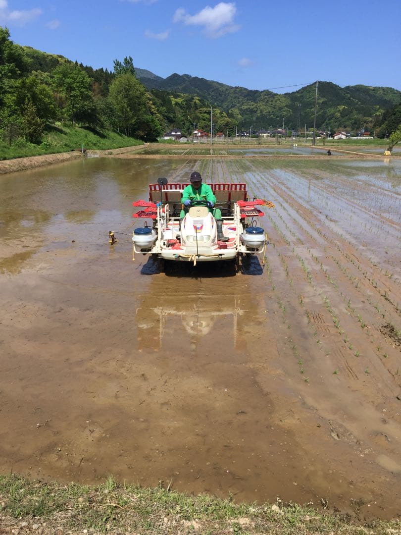 令和７年産米☆いのちの壱☆酵素散布米 ☆玄米 いのちの壱 24.5キロ 精米無料