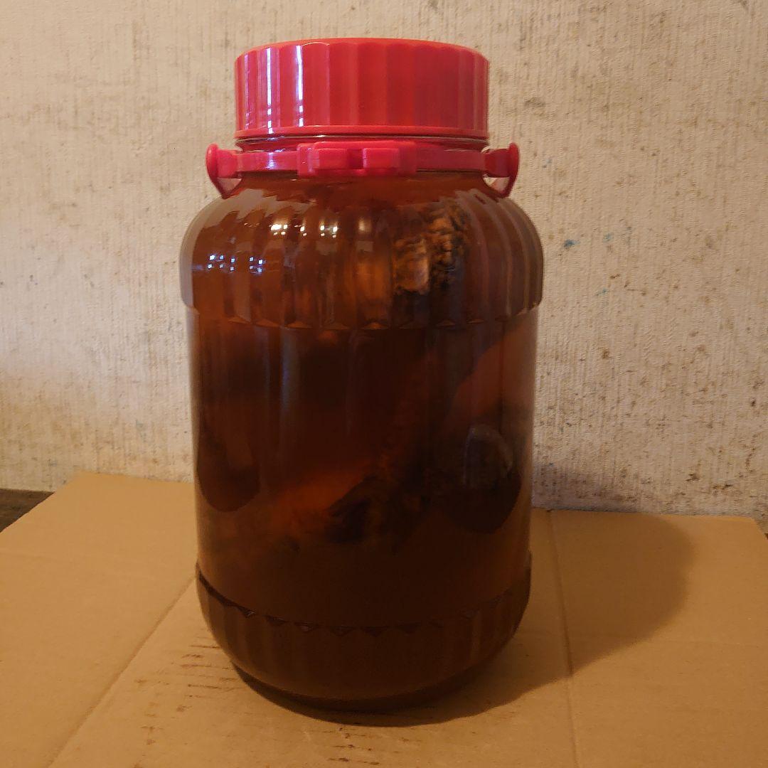 奈良県吉野山系吉野の天然物ツルニンジン酒5Ｌ ツルニンジン酒5Ｌ入り