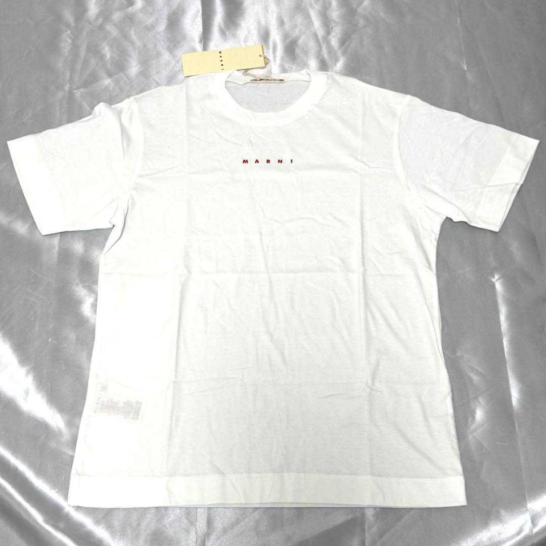 新品未使用MARNI キッズ 2025SS ロゴ Tシャツ 大人もOK！